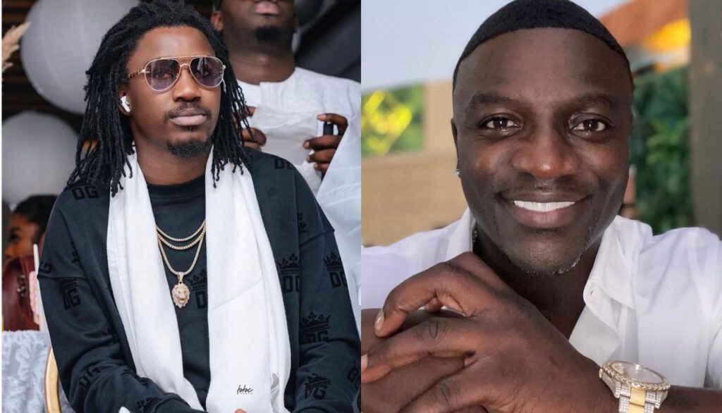 Wally Ballago rouge de colère : « Il faut arrêter, Akon et moi… »
