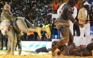 – Balla Gaye 2 rétrograde Modou Lo: « Il n’est pas mon Roi des Arènes car je l’ai battu deux fois… »