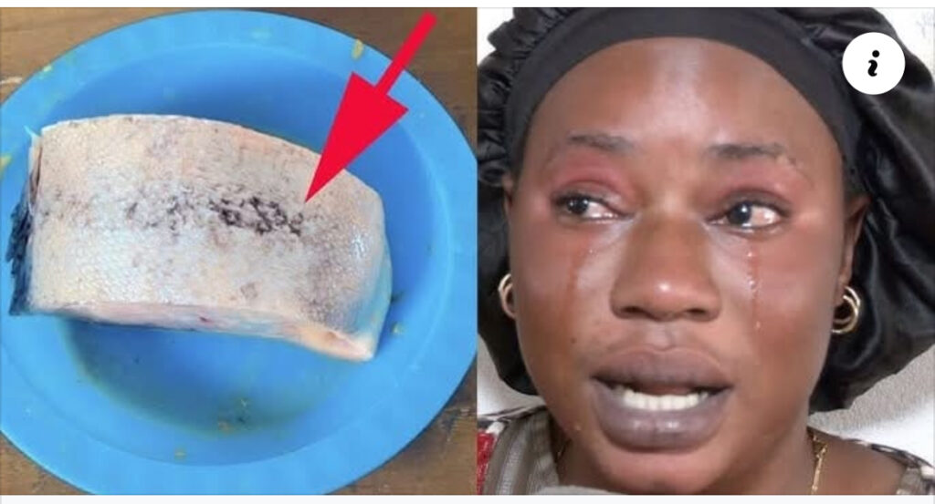 Thiès : Le nom du prophète Mouhamed (PSL) retrouvé inscrit sur un poisson (vidéo)