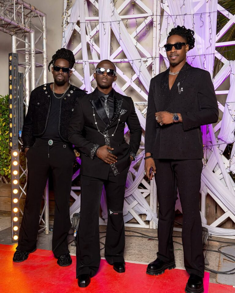Gala des étoiles : Les belles images des célébrités super stylées dévoilées