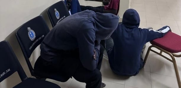 Deux hommes arrêtés avec un chat égøgé à la médina : Ce qu’il ont dit aux enquêteurs…
