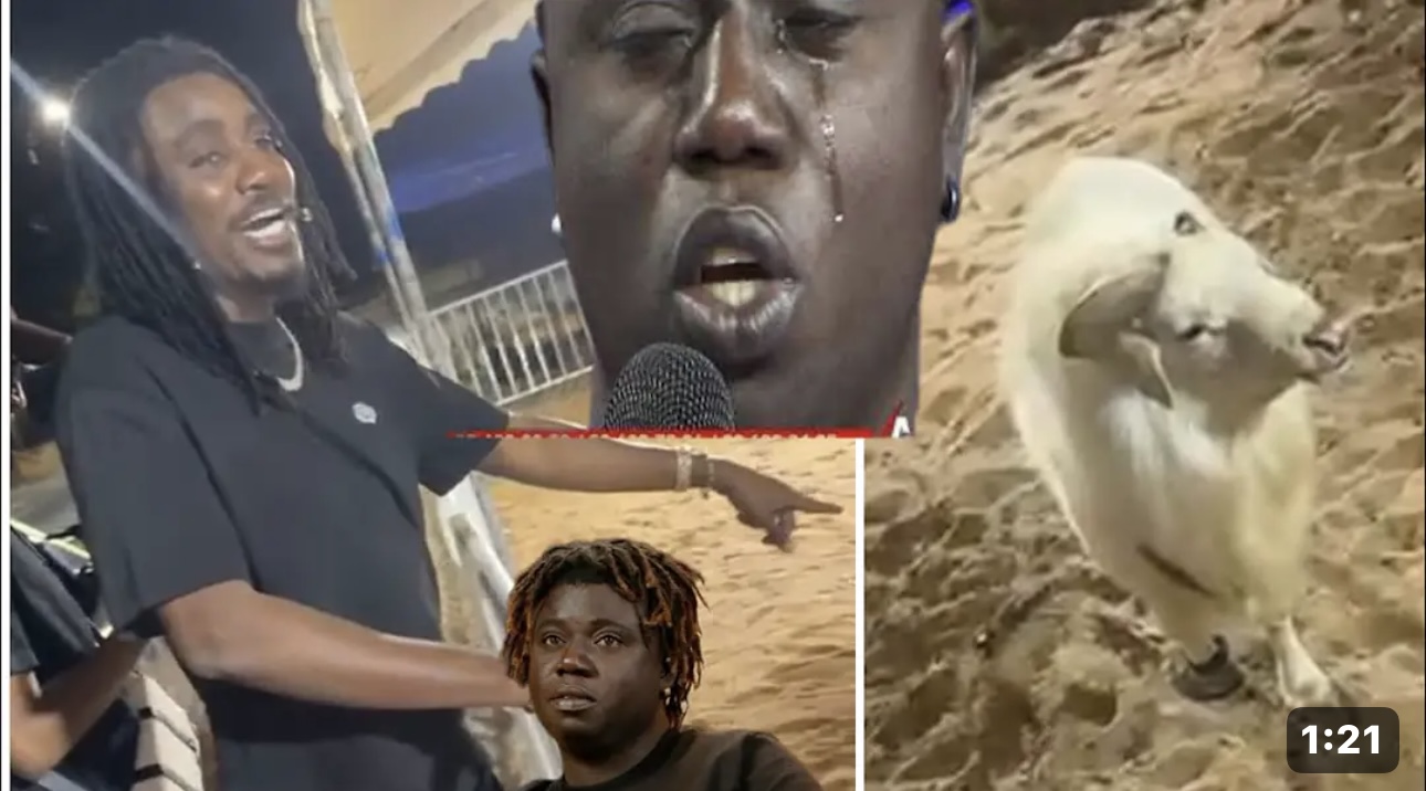 (Vidéo) – Quand Wally identifie Pawlish à un mouton, « Khar bi comme… ». À mourir de rire !