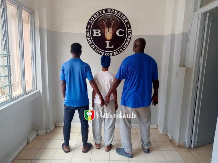Démantèlement d’un réseau de faux documents à Dakar : trois individus interpellés