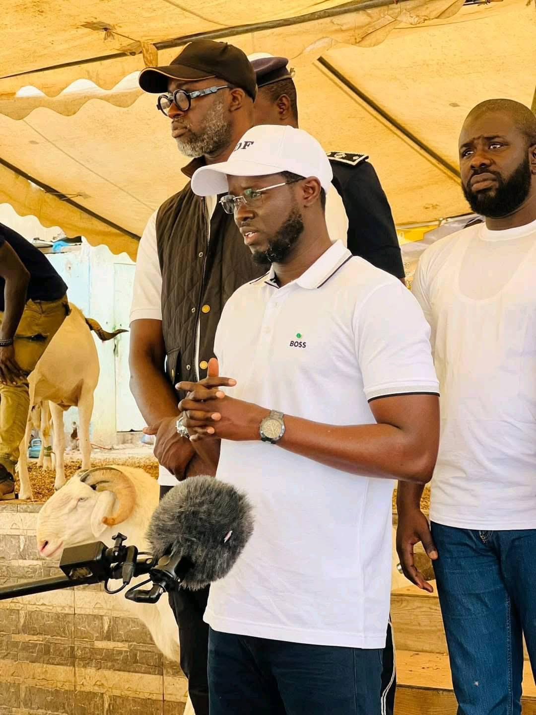 Tabaski : Le Président Diomaye Faye achète deux moutons à des prix …