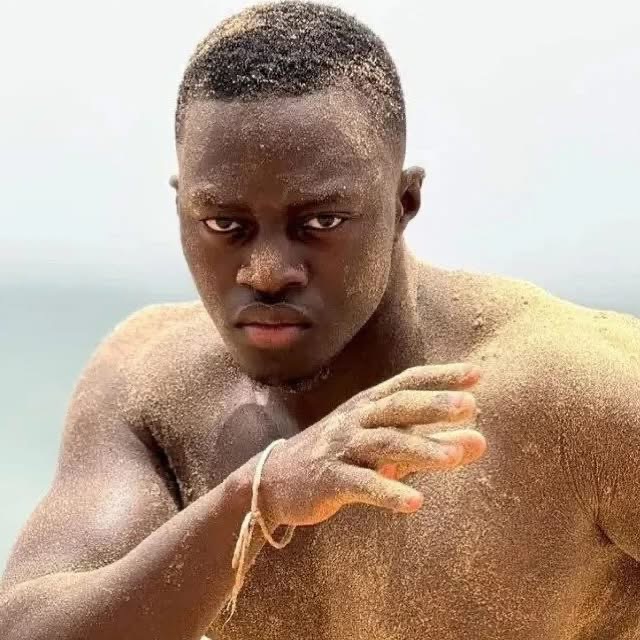 Coup de Tonnerre à l’arène nationale: Fils de tigre battu par Boy Ka