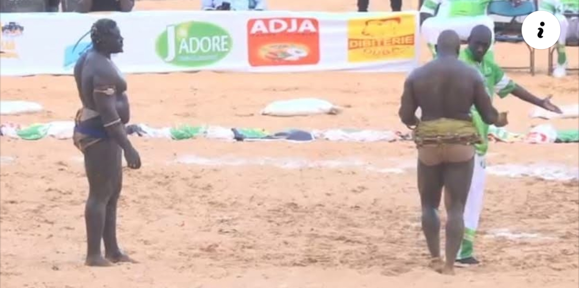 Arène nationale : Sa Thiès bat encore une fois Zarko, une chute extraordinaire (vidéo)
