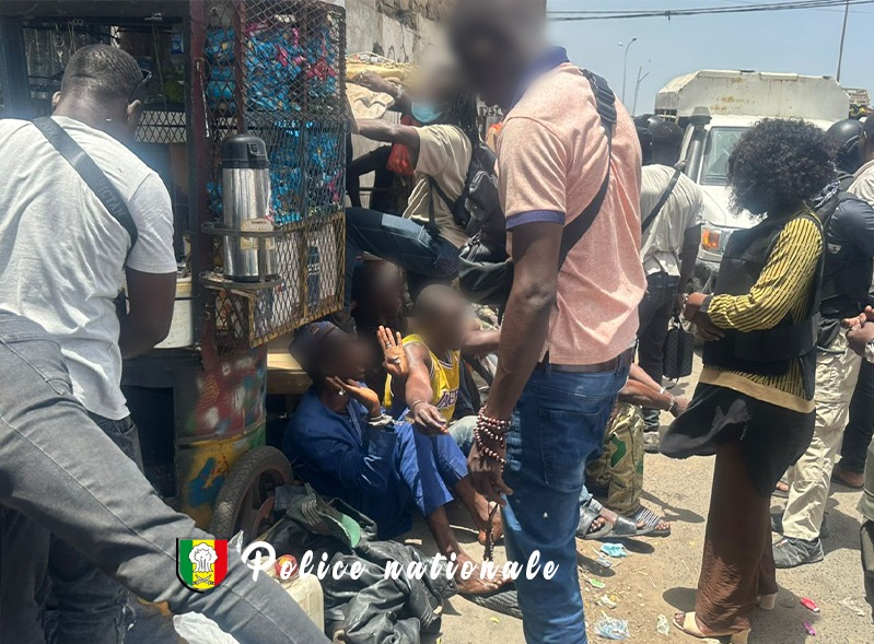 Démantèlement d’un réseau de trafiquants de drøgue à Dakar : neuf personnes interpellées