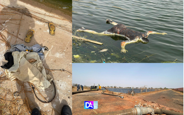 Découverte mac@bre à Darou Rahmane : un homme retrouvé mørt dans un bassin