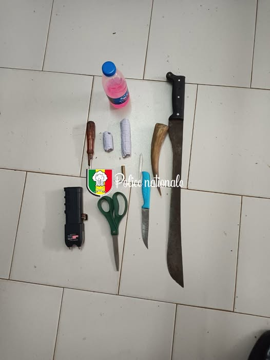 image-6 Zac Mbao : Huit individus arrêtés pour association de mⱥlfaiteurs et usage de chⱥnvre indien