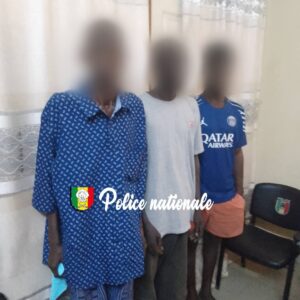 Fatick : Trois individus arrêtés pour trafic de chanvre indien