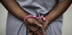 Malicounda : sept membres d’un gang de voleurs de bétail arrêtés