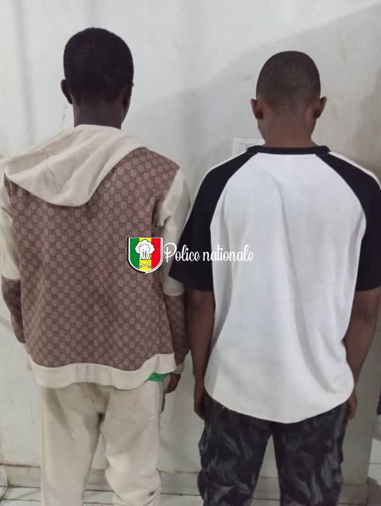 Dakar : deux faussaires arrêtés pour falsification d’actes de naissance