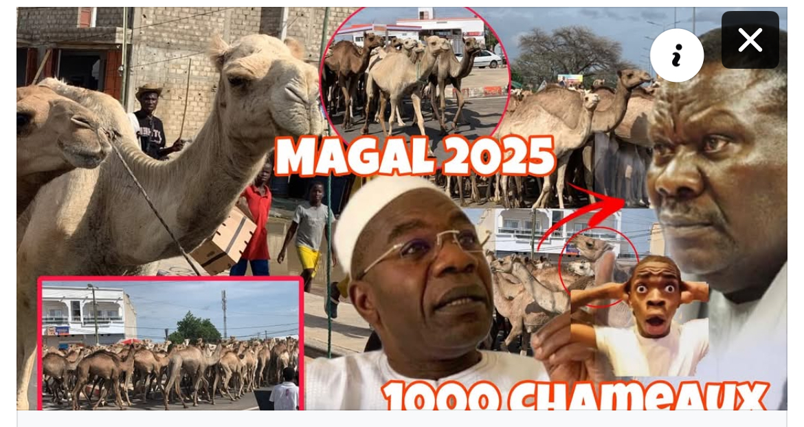 (Vidéo)- Enterrement de son père: Niang Kharagne Lo boulversé