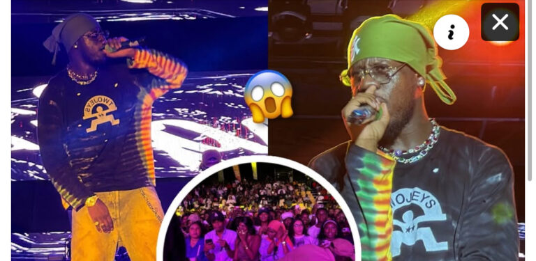 (Vidéo) – Un concert explosif de Franglish à Dakar
