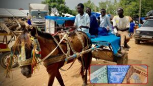 Touba : les charretiers font recette pendant le Magal