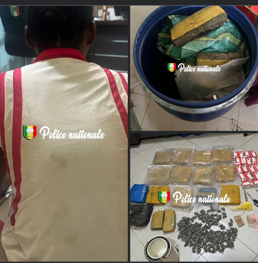 Kédougou : un individu arrêté pour trafic de drøgue et vente illégale de médicaments