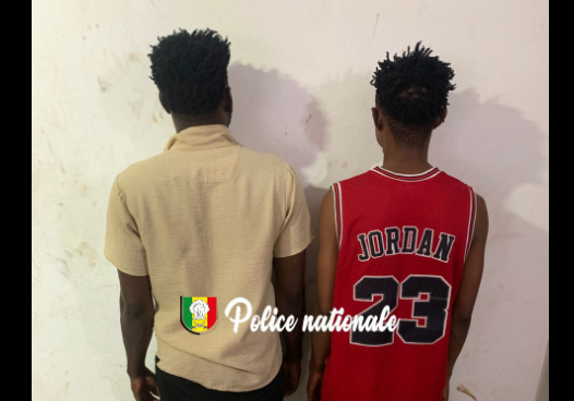 Trafic de haschich : Deux individus interpellés à Dakar suite à une saisie de 180 kg au Maroc
