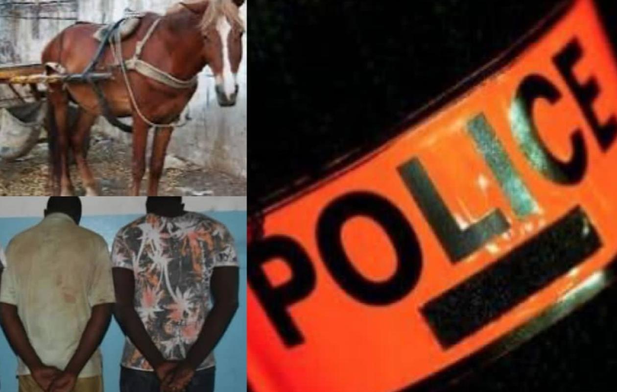Rufisque : Une ado de 14 ans handicapée, séquęstrée et v!olée pendant 2 jours par…