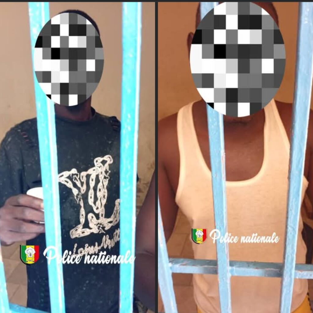 Deux individus arrêtés pour vol de bétail à Gouye Mbinde