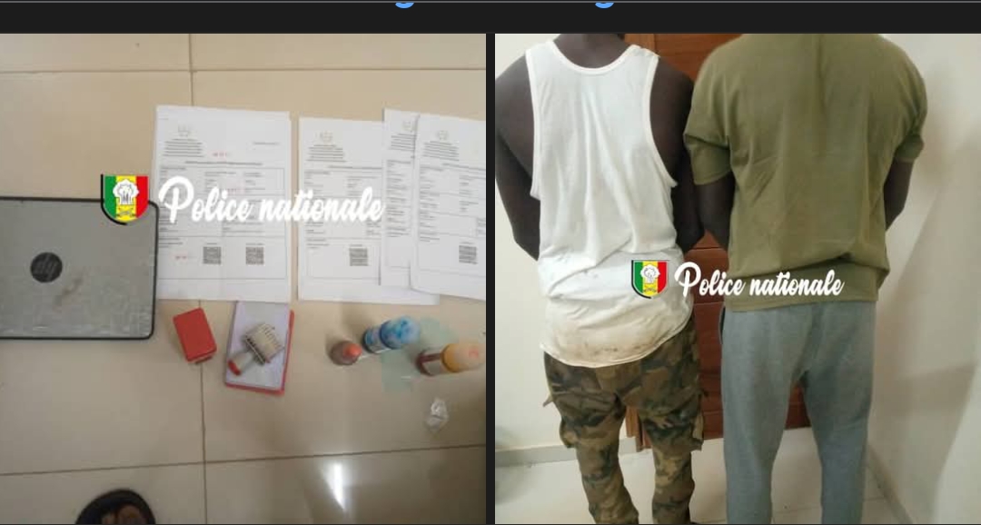 Arrestation de deux faussaires à Mbour : de faux Certificats de Mise en Consommation saisis