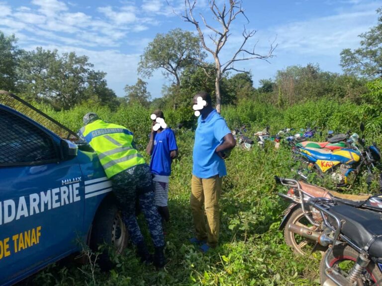 Sédhiou – Un berger retrouvé m0rt par balle : Ce que révèle l’enquête…