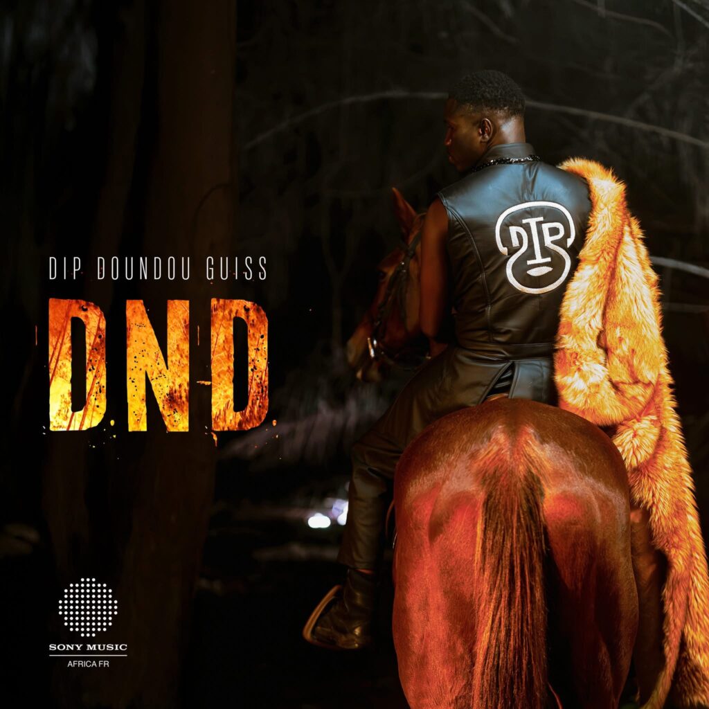 Musique : DIP Doundou Guiss dévoile la date de sortie de son nouveau clip « DND »