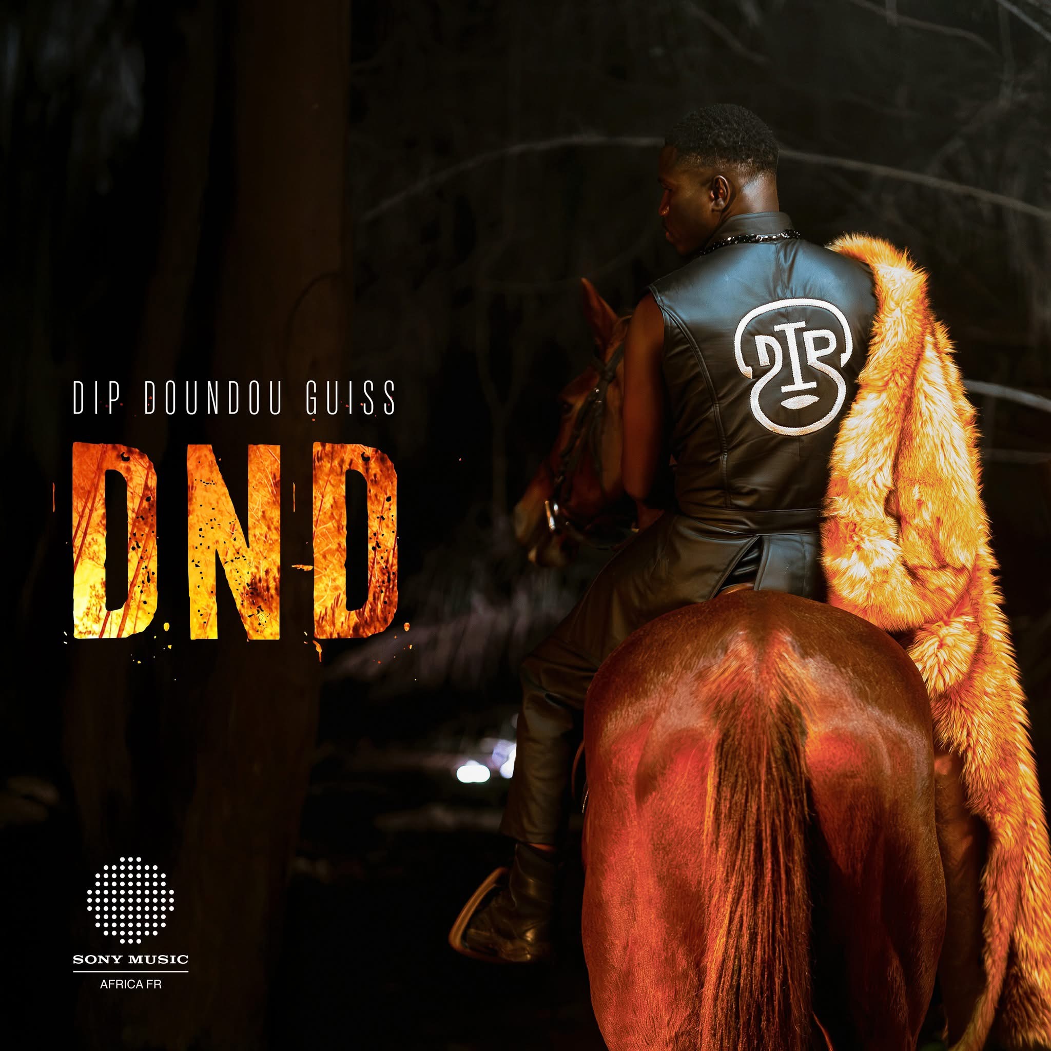 Musique : DIP Doundou Guiss dévoile la date de sortie de son nouveau clip « DND »