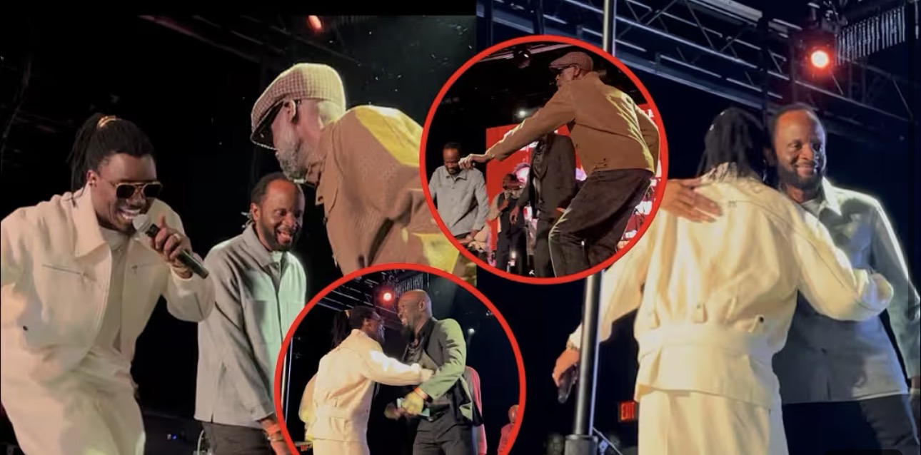 (Vidéo) – Bercy New York : Sanekh, Cheikhouna et Jojo intenables sur la scène de Wally Seck…