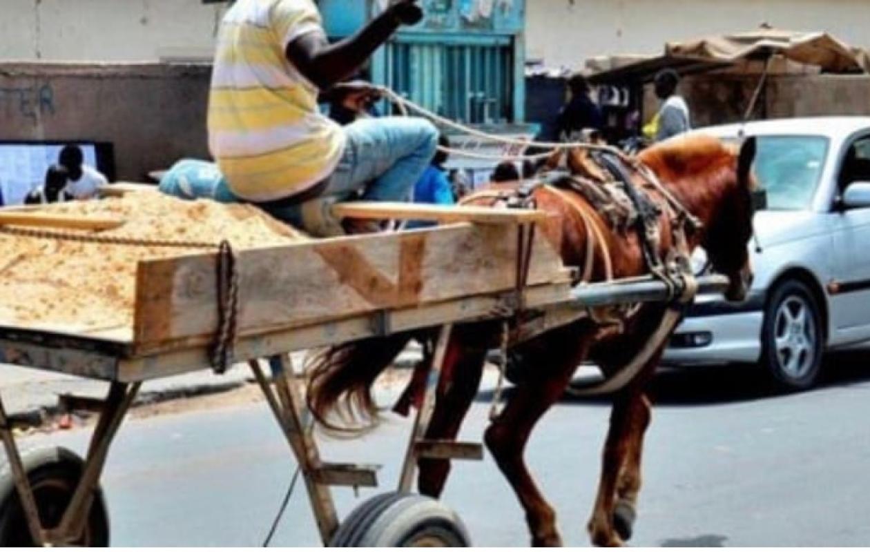 Restauration de l’ordre public : le ministre interdit les chariots et pousse-pousse sur plusieurs axes du pays…