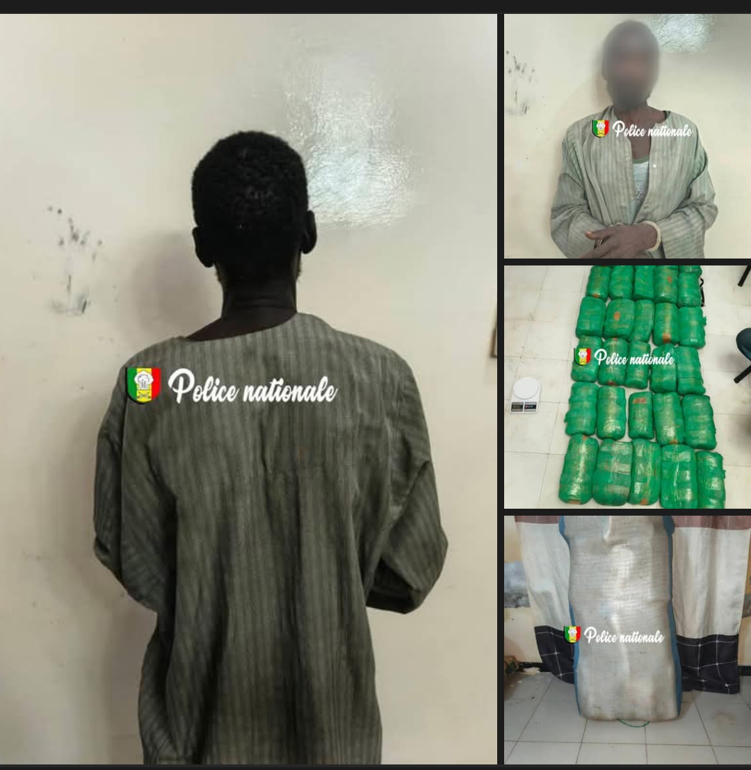 Touba : 32,9 kg de chanvre indien saisis par la Brigade des Stupéfiants
