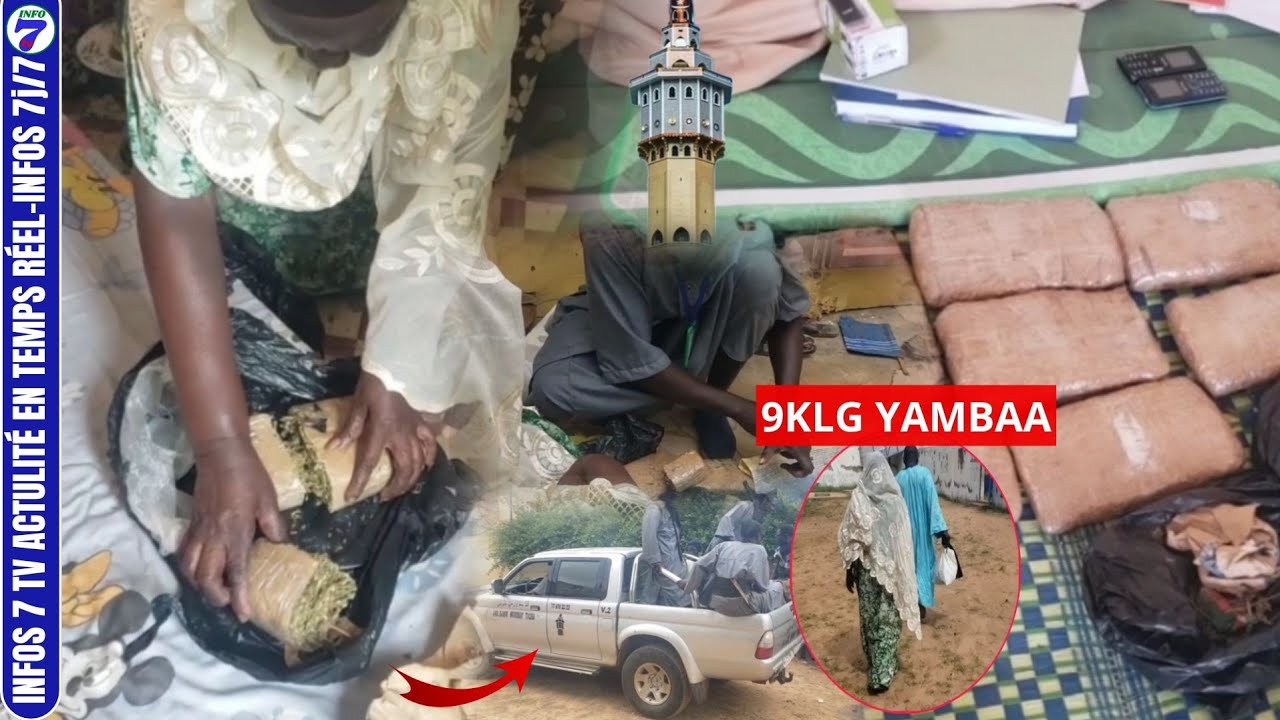 Touba : Une sexagénaire arrêtée pour trafic de chanvre indien