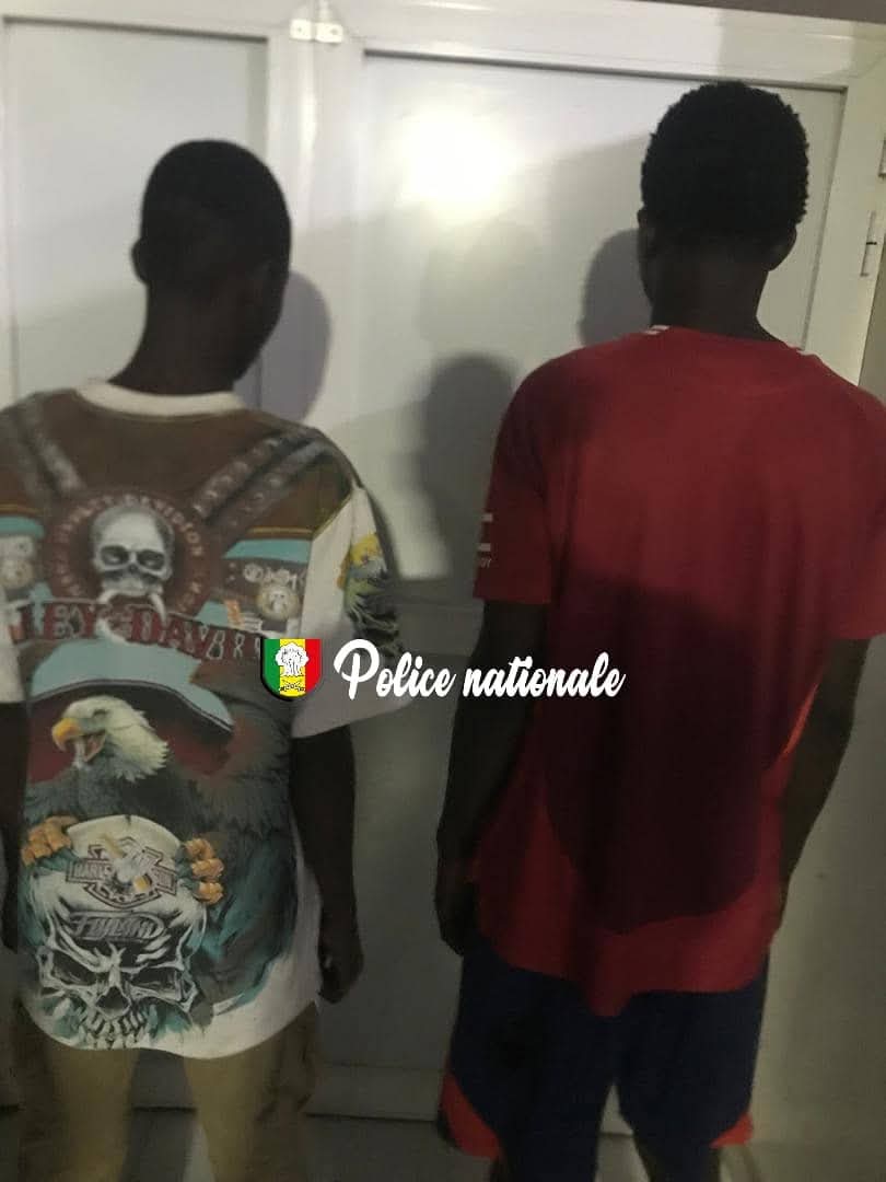 Deux suspects en garde à vue après une agression sęxuelle sur mineure