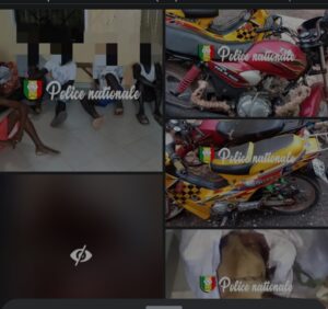 Sédhiou : Démantèlement d’un réseau d’abattage clandestin et de vol de bétail