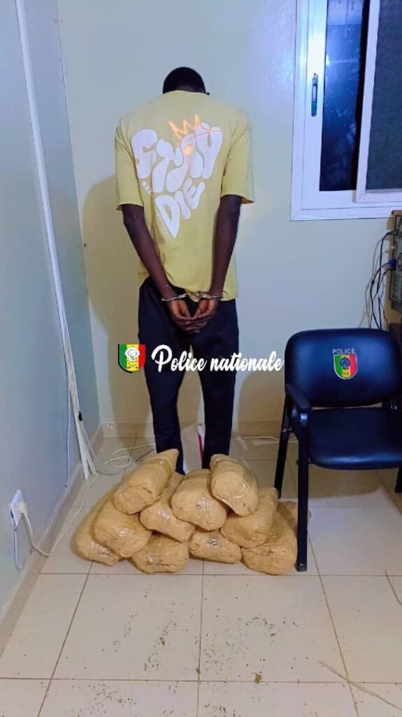 Rufisque : interpellation d’un individu avec 10 kg de chànvre indien
