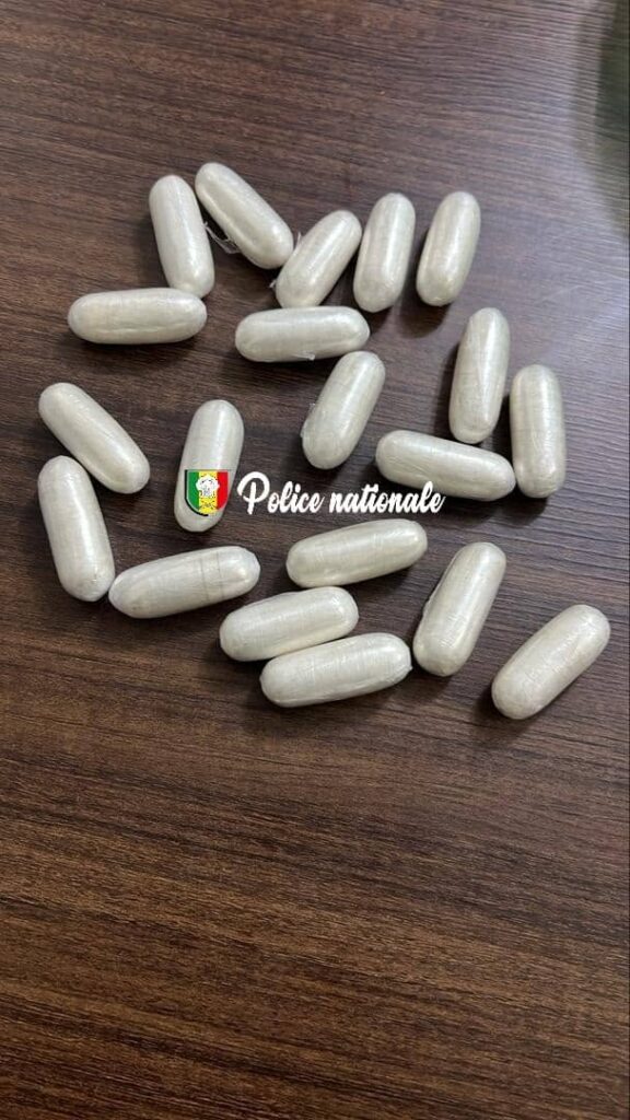 Ziguinchor : Interpellation d’un individu en possession de cocaïne