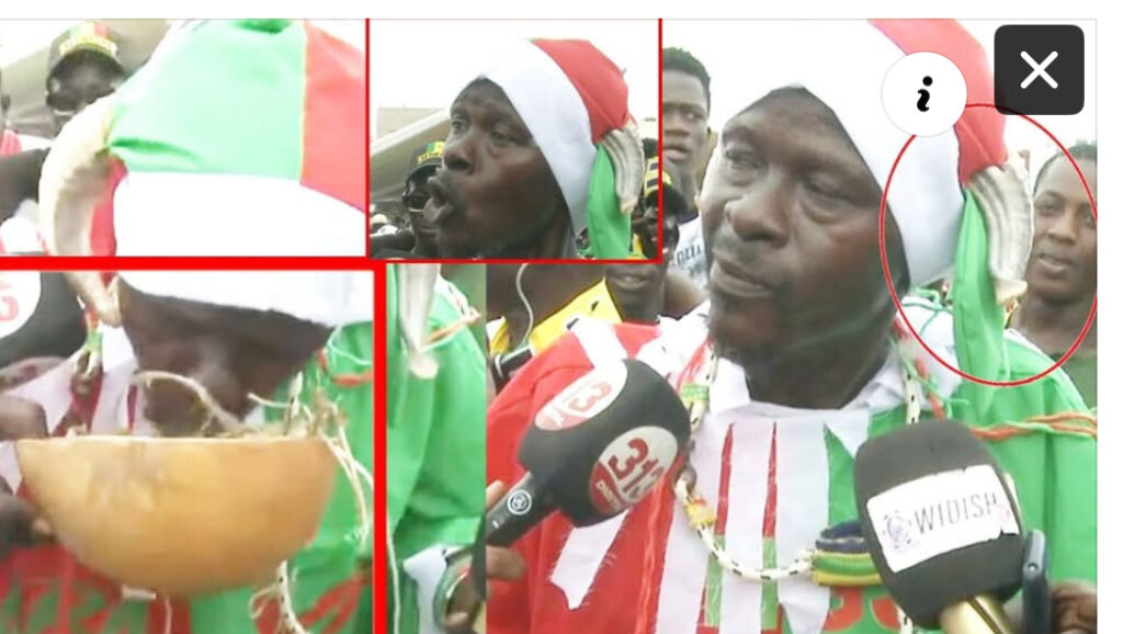 (Vidéo)- Ce patriote se transforme en møuton et mange de l’h£rbe en direct :«Sonko mo takh ma nek khar… »