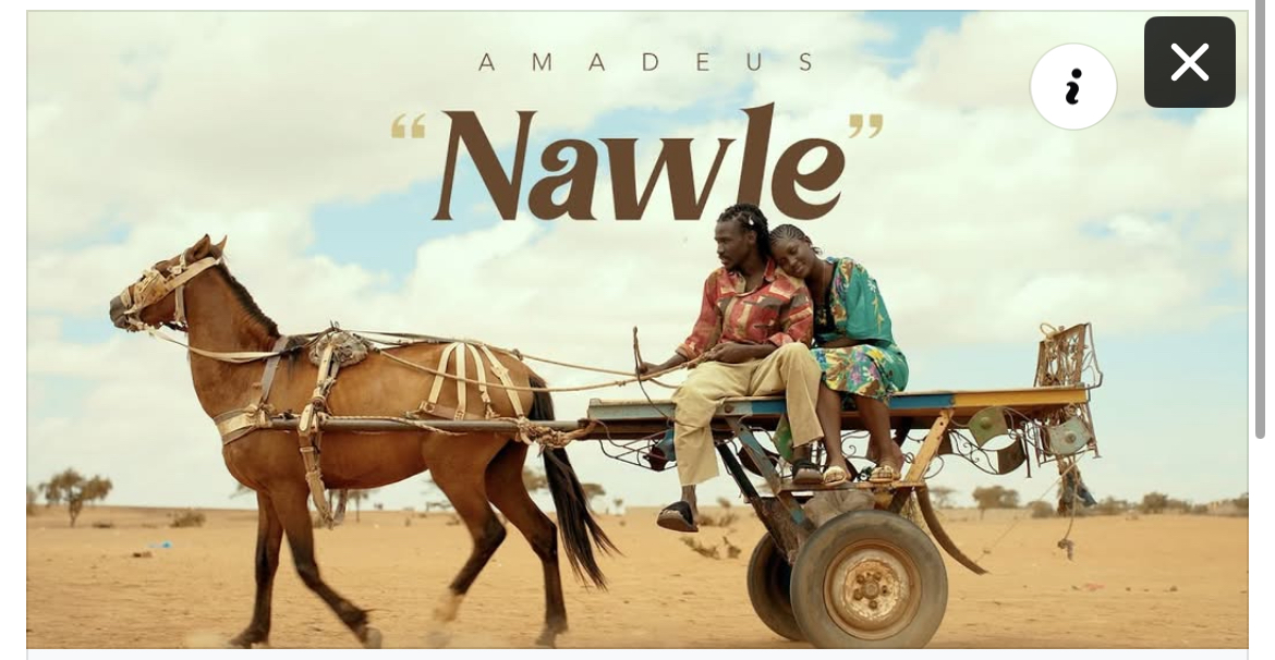 (Clip officiel) Amadeus rend hommage à l’épouse idéale dans « Nawlé »