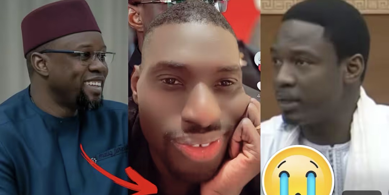 (Vidéo) – Altercation Ousmane Sonko et Pape Djibril Faye : Ce qu’en pense Adamo…