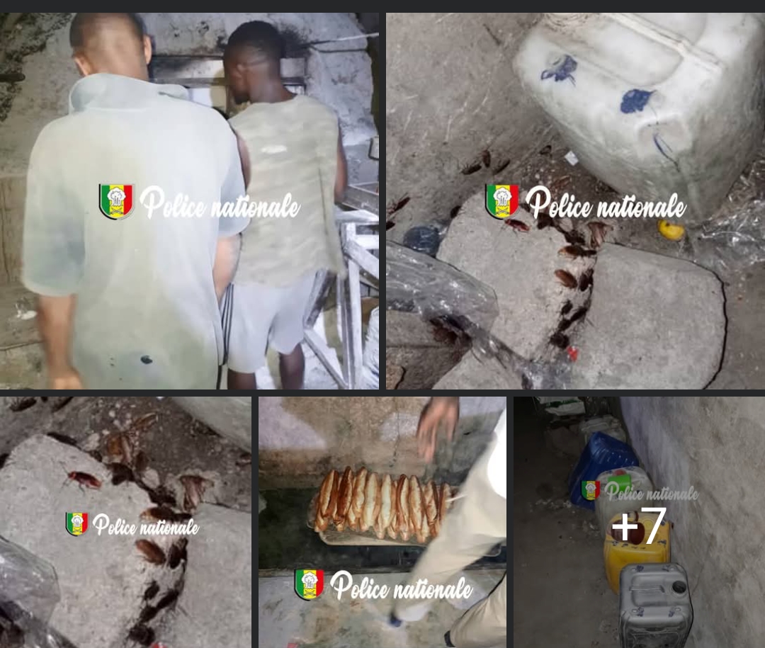 Démantèlement d’une boulangerie clandestine à Grand-Yoff