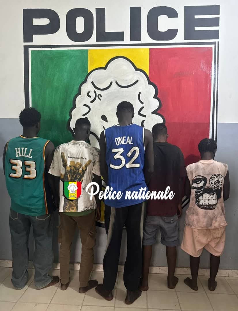 Coup de filet à Kaolack : un gang neutralisé en pleine opération