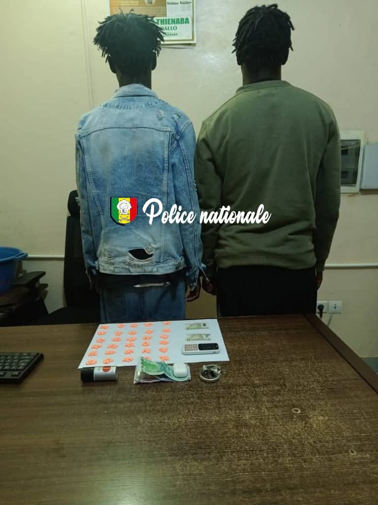 Fatick : deux individus interpellés pour trafic d’ecstasy par l’OCRTIS
