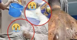 (Vidéo) – Les révélations choquantes sur le décès du vieux tu3 par sa première épouse…