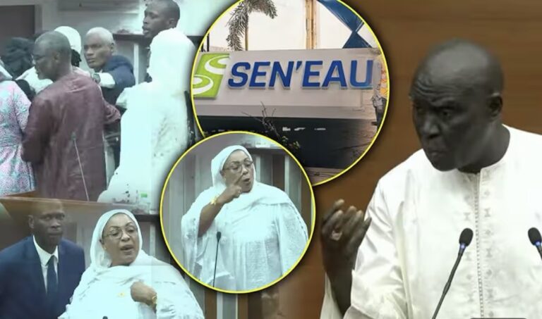 (Vidéo) – Assemblée nationale : dispute entre députés de l’APR et du…