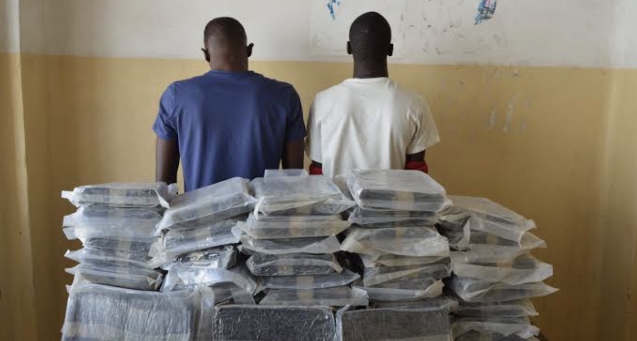 Trafic international de dr0gue : 4 étrangers, parmi lesquels 3 étudiants tombent dans les filets de la police