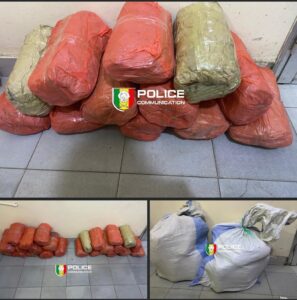 Fatick : Saisie de 24 kg de chanvre indien à Sirmang par la BRS