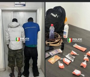 Démantèlement d’un réseau de trafic de drøgues à Thiaroye