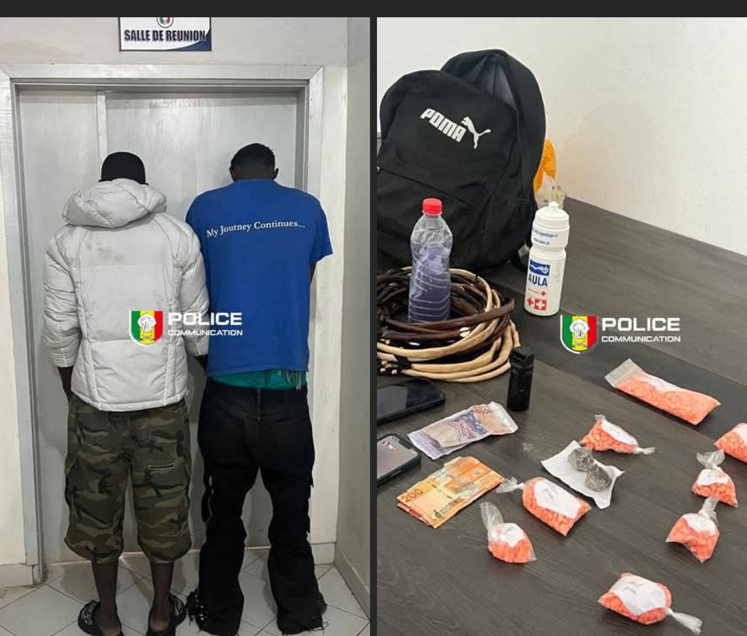 Démantèlement d’un réseau de trafic de drøgues à Thiaroye