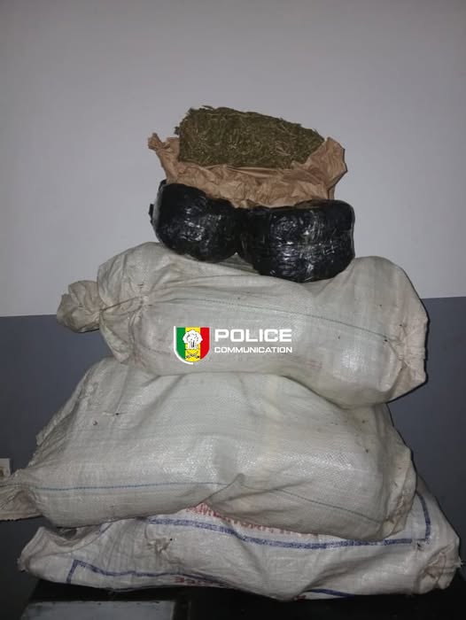 Sédhiou : 24 kg de chanvre indien interceptés, le suspect en cavale