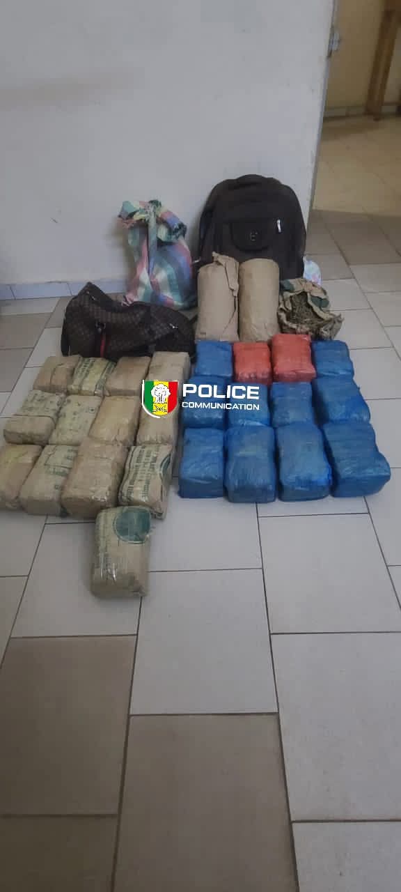 Fatick : saisie de 28 kg de chanvre indien par la BRS