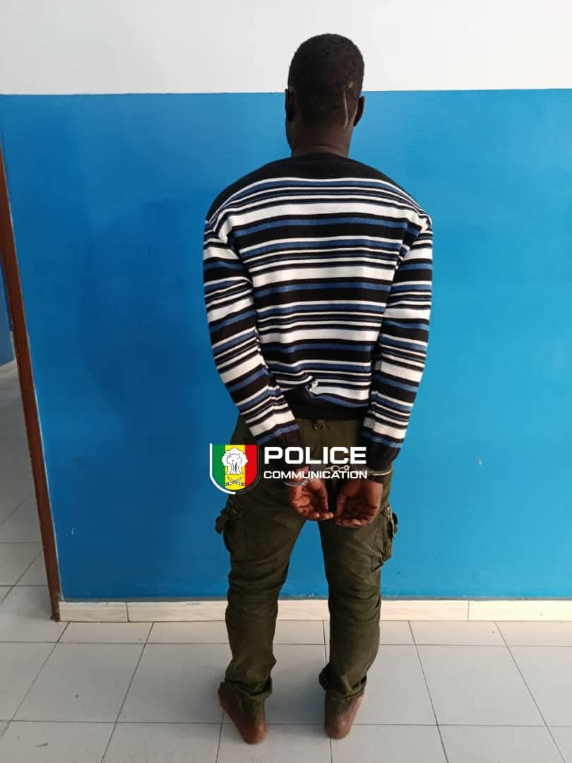 Golf Sud : un escroc aux motos interpellé après plus de 30 vols par ruse